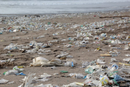 Plastic waste on a beach illustrating ocean plastic pollution problem