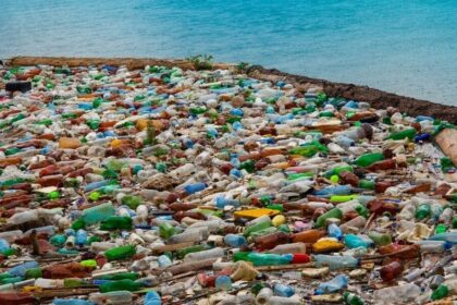 Great garbage patch with plastic bottles and waste – visual example challenging plastic pollution myths and showing real impact