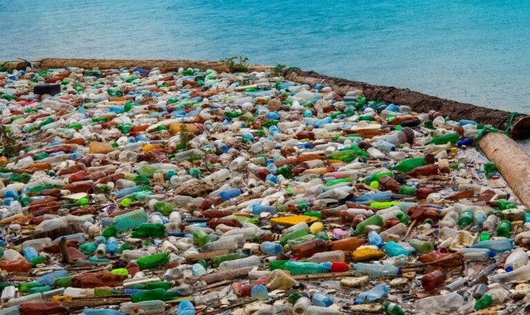 Great garbage patch with plastic bottles and waste – visual example challenging plastic pollution myths and showing real impact