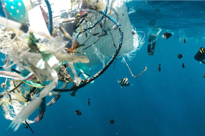 Plastic waste floating underwater in the ocean with fish swimming around – symbol for plastic pollution solutions