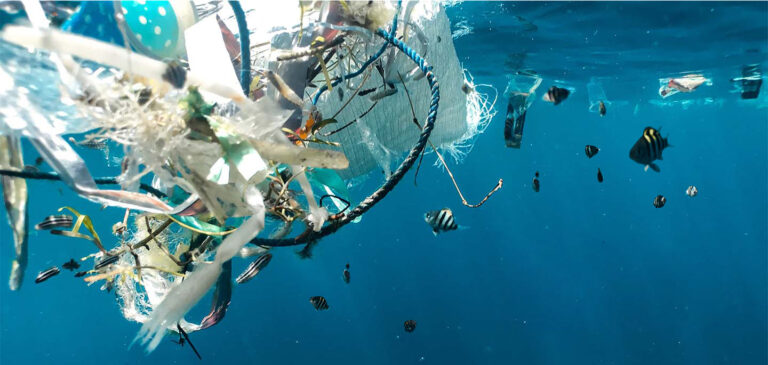 Plastic waste floating underwater in the ocean with fish swimming around – symbol for plastic pollution solutions