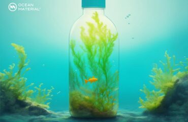 Seaweed to Polymer Extrusion Seaweed polymer concept – underwater bottle filled with algae illustrating sustainable packaging