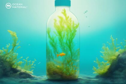 Seaweed polymer concept – underwater bottle filled with algae illustrating sustainable packaging