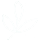 Seaweed-Based Materials